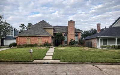 tree service houston tree removal tree trimming