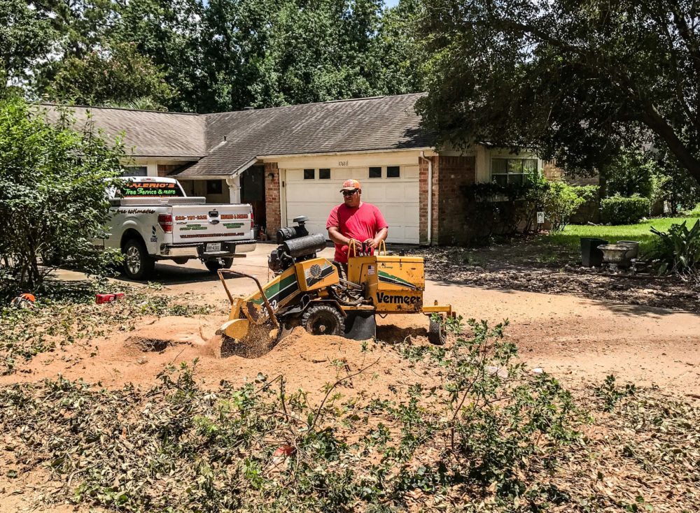 houston stump grinding