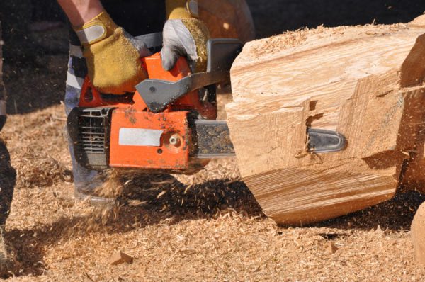 Houston Tree Removal