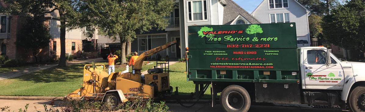 houston tree service