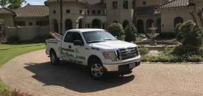 tree service houston tree removal tree trimming