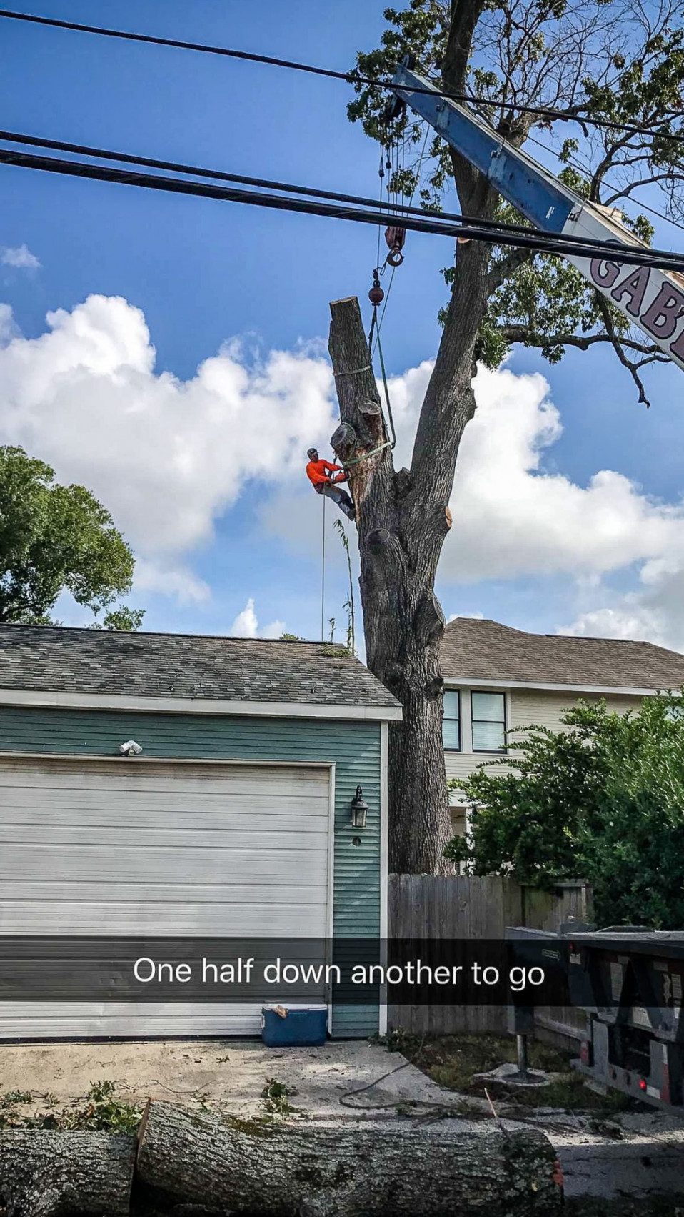 Houston Tree Service 53 min - Tree Removal & Tree Trimming