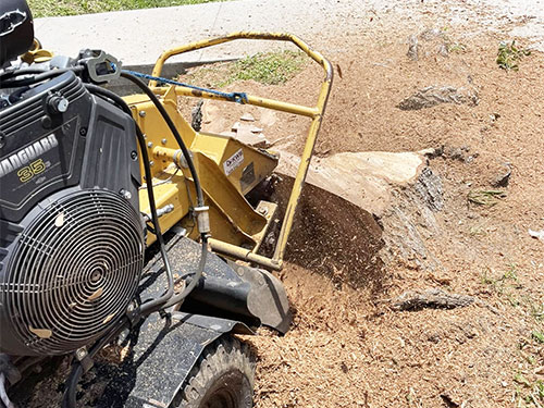 service-Stump-Grinding-in-Houston