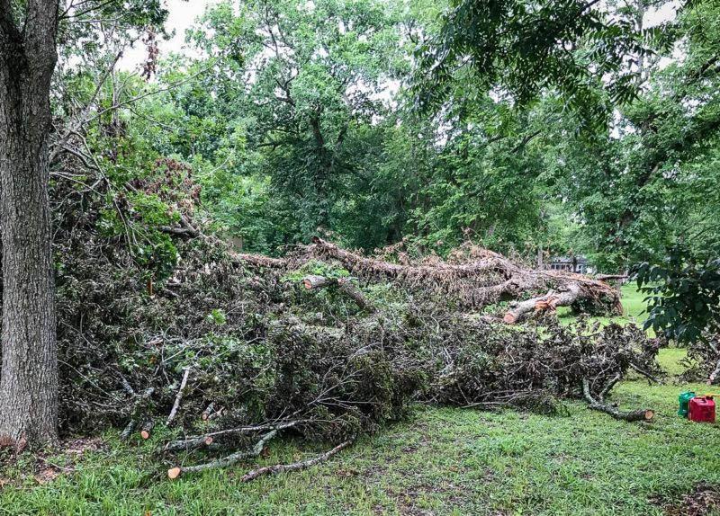 Storm clean up