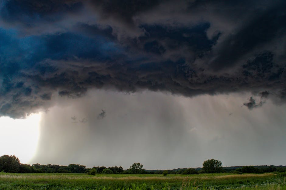 Dark stormy clouds loom over a serene green meadow, signaling an approaching storm.