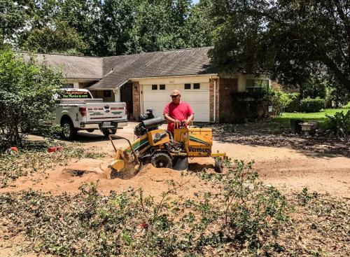 Houston Tree Service Stump Grinding